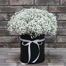 Цветочная композиция из Гипсофила в шляпной коробке в Октябрьском Республики Крым