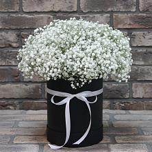 Цветочная композиция из Гипсофила в шляпной коробке в Октябрьском Республики Крым